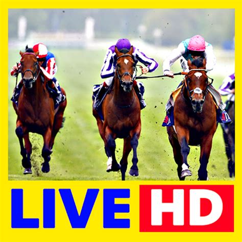 reddit horse racing|horse racing live stream reddit.